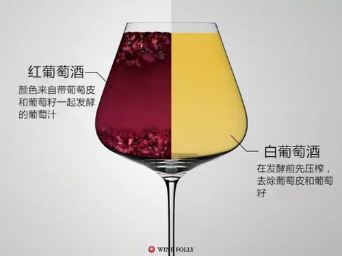 紅白葡萄酒間真正的區(qū)別